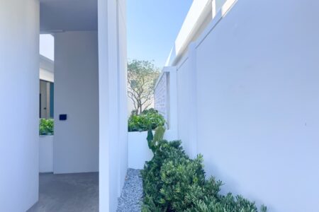 IMG_5239(1) IMG_5239(1)